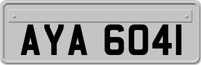 AYA6041