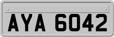 AYA6042