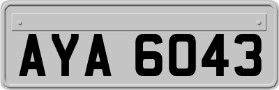 AYA6043