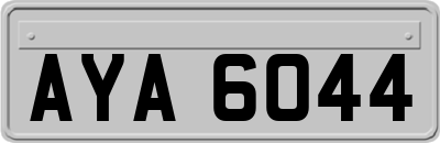 AYA6044