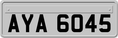 AYA6045