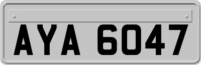 AYA6047