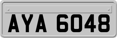 AYA6048