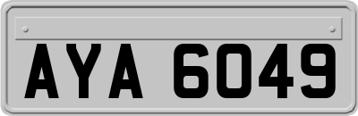 AYA6049