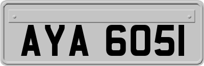 AYA6051