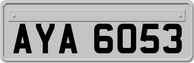 AYA6053