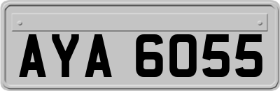 AYA6055