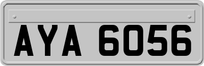 AYA6056
