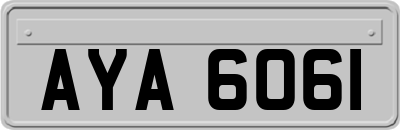 AYA6061