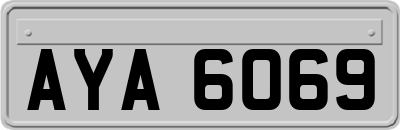 AYA6069