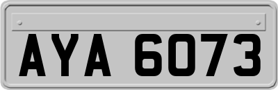 AYA6073