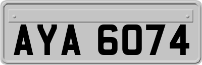 AYA6074