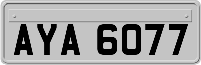 AYA6077