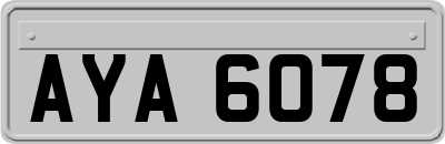 AYA6078