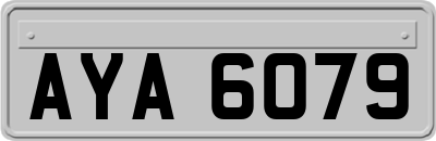 AYA6079