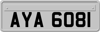 AYA6081