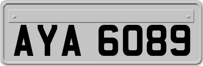 AYA6089