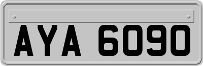 AYA6090