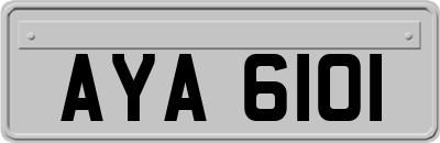 AYA6101