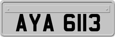 AYA6113