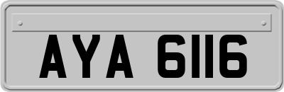 AYA6116