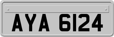 AYA6124