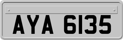 AYA6135