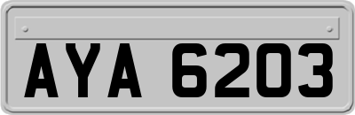 AYA6203