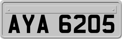 AYA6205