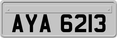 AYA6213