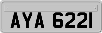 AYA6221