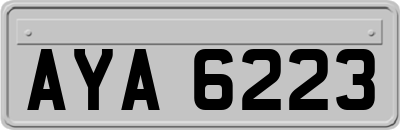 AYA6223