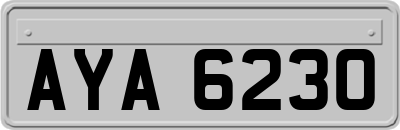 AYA6230