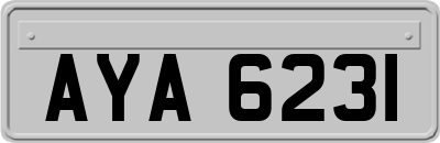 AYA6231