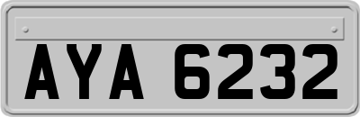 AYA6232