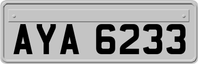 AYA6233