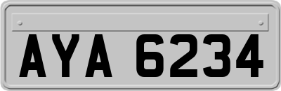 AYA6234
