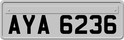 AYA6236