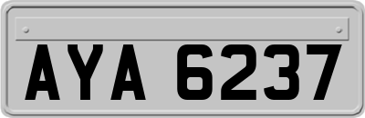 AYA6237