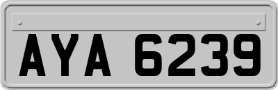 AYA6239