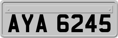 AYA6245