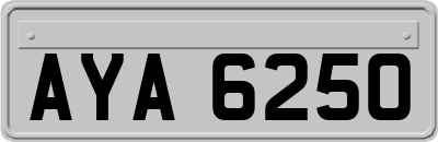 AYA6250