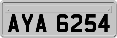 AYA6254