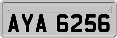 AYA6256