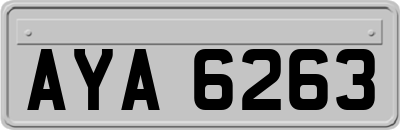AYA6263