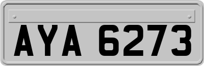 AYA6273
