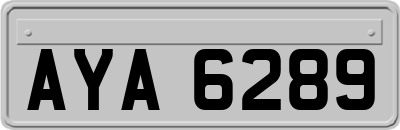 AYA6289