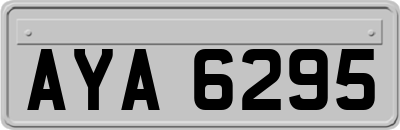 AYA6295