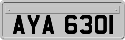 AYA6301