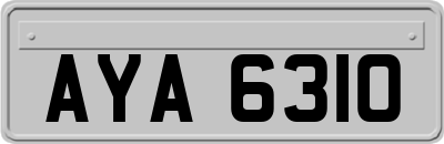 AYA6310